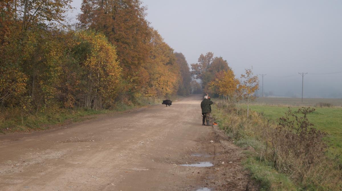 Oferta dla myśliwych